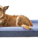 Casper Dog Bed, Plush Memory Foam, Medium, Blue