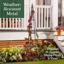 Evergreen Metal Garden Obelisk Trellis for Climbing Plants Outdoor, Indoor Plant Trellis for Potted Plants, Floral Pattern Arch Trellis (Black, 6 ft. Pyramid)