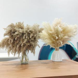 30 Stems Home Decor - Natural Dried Pampas, Brown & Beige Pompas Grass, Dry Small Pampas Bulk for Living Room Table Decor, Boho Decor,Party Wedding Decor, Gift(17.7 inch, 20 Brown & 10 Female Pampas)