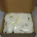 50 Pack Artificial Silk Carnation Picks Artificial Flowers Carnation Heads with Stems for DIY Flower Wall Wedding Bouquets Centerpieces Arrangements Decorations (Ivory White)