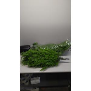 SEVENLOVE 72" Artificial Cedar Topiary Tree One Set, 6FT SEVENLOVE Potted Cedar Tree Topiary Artificial Plant Shrub for Front Porch Home Office Decor (6FT)