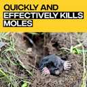Victor Poison Moleworms - M6009 - 10 Worms, 5 Tunnel Locator Flags - Kills Moles Outdoors