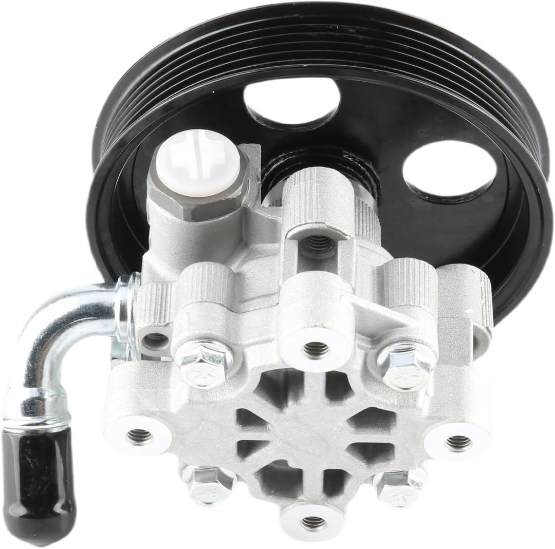 Power Steering Pump with Pulley Compatible with 2001-2007 Chrysler Town & Country 2001-2003 Voyager 2001-2007 Dodge Caravan 2001-2007 Grand Caravan V6 3.3L/3.8L | Replace#21-5223