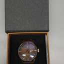 Pagani Design Fashion Men's Waterproof Stainless Steel Automatic Mechanical Watch, Date Display and Brown Leather Strap