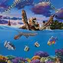 Dreaming of the Ocean (An educational children's picture book about sea creatures, including turtles, fish, giant squid, anglerfish, and whales - a great bedtime / good night story for kids)