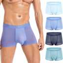Mens Ice Silk Underwear 4-Pack Boxer Briefs Cotton Modal Comfortable Soft Trunks Underwear With Gift Box (Large, Frost Blue/Water Blue/Rime Gray/Crystal Green (Ice Silk))