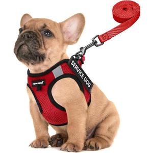 FAYOGOO Service Dog Vest for Small Breed - Lightweight Dog Harness with 6PCS Removable Patches - Puppy Harness and Leash Set for Walking, Training (Red), M
