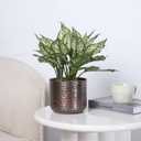 MyGift 6 Inch Vintage Copper Tone Metal Vase, Flower Pot with Hammered Texture, Cylindrical Indoor Succulent Plant Container - Handcrafted in India