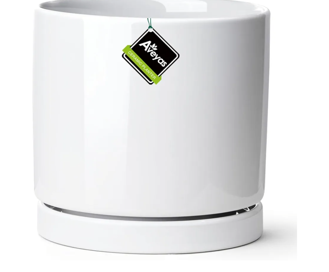 Aveyas 10 inch Ceramic Plant Pot with Drainage Hole and Saucer - Suitable for Indoor and Outdoor Use, Modern Planters for House Garden Flower Tree Snake Monstera Plants (10", Shinny White)