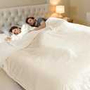 Queen Size Heated Blanket - Dual Control Electric Blanket Queen with 5 Heating Levels, 10 Hours Auto Off, Overheat Protection, Washable Flannel Sherpa Heating Blanket, 84 x 90 Inch,