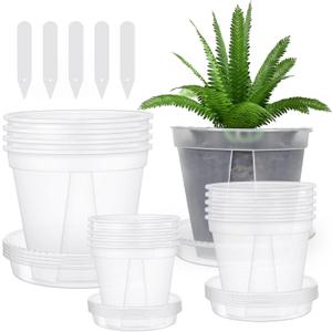 3-Pack Clear Plant Pots with Drainage Transparent Planters for Healthy Roots & Optimal Growth Ideal for Indoor & Outdoor Gardens with Matching Trays
