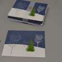 Midnight Cardinal Deluxed Boxed Holiday Cards (Christmas/ Holiday/Greeting Cards)