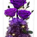 Agrul Flowers Roses Gifts for Mom,Forever Real Preserved Roses in Glass Dome,Mothers Day for Wife Girlfriend Women Best Friend Grandma/Purple Rose