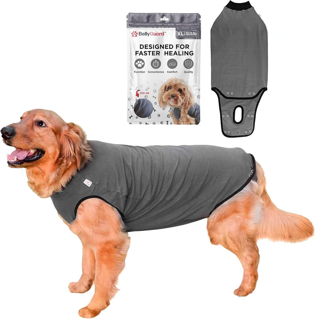 BellyGuard Recovery Suit for Dogs, Comfy Dog Surgery Suit, Female Spay and Male Neuter Onesie for Post-Op Care (X-Large, Grey)