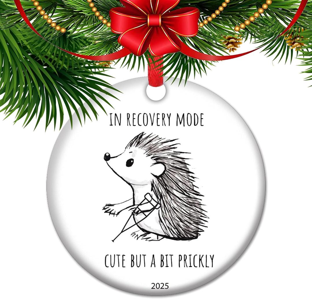 Hip Surgery Recovery Ornament 2025 in Recovery Mode Cute But Prickly Gift for Patients Post Op Cheer Ceramic Keepsake Christmas (V3)