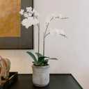 Faux White Orchid Plant, Premium Artificial Indoor Flower Display Stands 24, Beautiful Sculptural Blooms That Lasts Forever, Grey Planter Pot Included (24" White 2-Stem Orchid)