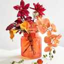 BLOFLO Orange Glass Vase, 7 Inch Large Glass Vase for Flowers, Modern Thick Glass Flower Vases for Centerpieces, Decorative Glass Cylinder Hydroponic Vase for Wedding, Home, Office (Orange, 7Inch)