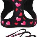 PUPTECK Dog Harness and Leash Set for Large Dogs No Pull Step-in Soft Mesh Puppy Cat Vest Valentine Harnesses Reflective at Night, Black&Pink Heart, L
