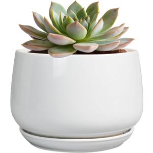 G EPGardening Ceramic Pots for Plants - 6 Inch Planter for Indoor Plants, Flower Pots with Drainage and Ceramic Tray, Modern Office Decor, Gifts for Plant Lovers, White