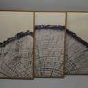 HPINUB Vintage Wood Tree Rings Wall Art Set, Framed Canvas Paintings, Black and White Nature-Inspired Decorative for Modern Home Decor for Living Room, Bedroom, Dining Room, Office- 16"x24"x3