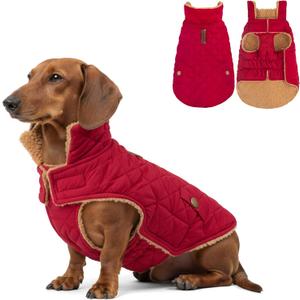 azuza Dog Jacket Waterproof & Windproof Dog Coat for Small Dogs with Thick Fleece, High Collar with Leash Hole, Adjustable Velcro & Elastic Belly, Red L