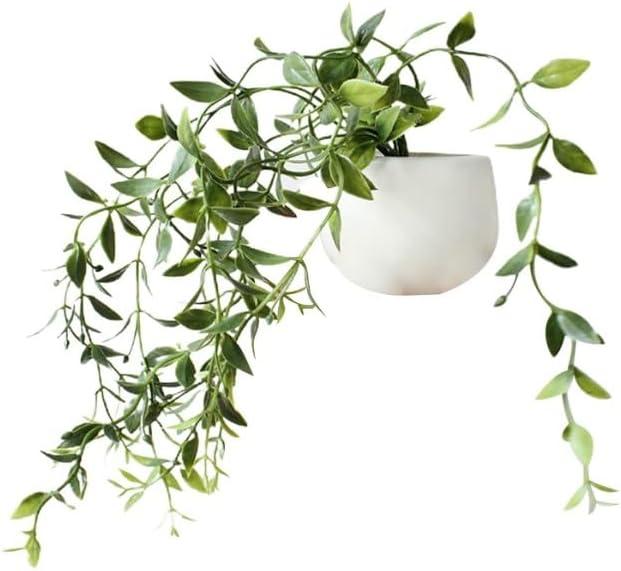 3D Green Plants Decorative Magnets for Fridge,Fridge Magnet Locker Magnets for Office Kitchen House,Refrigerator Magnets Refrigerator Magnets for Adults, Kitchen Accessories