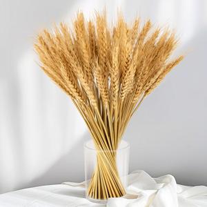 Sukh 100 Stems Dried Wheat Stalks for Decor - Sheaves Grass Natural Bunch Flowers Home Wedding Table Kitchen Boho Farmhouse Fall Arrangement DIY Decoration 12.9 Inches (Primary Color)