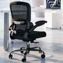 TRALT Office Chair - Ergonomic Desk Chair with Adjustable Lumbar Support, Mesh Computer Chair, Executive Chairs for Home Office Comfortable Lumbar Support (Black), Pack of 1