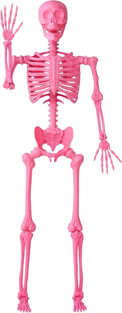 JOYIN 5.6 FT Halloween Posable Skeleton Life Size, Giant Outdoor Yard Skeletons, Pink Plastic Skeleton with Movable Joints for Haunted House Props, Halloween Decorations, Spooky Scary Skeletons Party