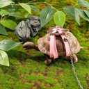 Tortoise Leash and Training Skateboard Toy, Mini Skateboard and Adjustable Harness for Turtle, Funny Tortoises Toys Accessories for Tortoise, Lizard, Small Animals (Pink)