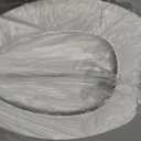 Bemis 170 Durable Plastic Toilet Seat, Elongated, White