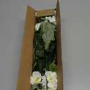 4pcs Fake Flower Artificial Geranium,Artificial Flowers for Outdoors, White Geraniums Artificial Flowers Realistic,Artificial Geraniums for Outdoors Fake Plant Decoration (White)