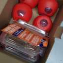 Terro Fruit Fly Traps for Indoors (6 Pack) + 270 Days of Lure Supply