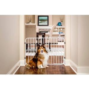 Carlson Pet Products Tuffy Metal Expandable Pet Gate, Includes Small Pet Door, 24 x 22-38 Inch, White