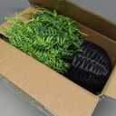 Juxdp Artificial Ferns Plants with Hanging Basket-2 Set for Outdoor Decoration,Fake Boston Fern Hanging Planters Faux Greenery UV Resistant for Front Porch Patio Garden Farmhouse Home Decor (Green)