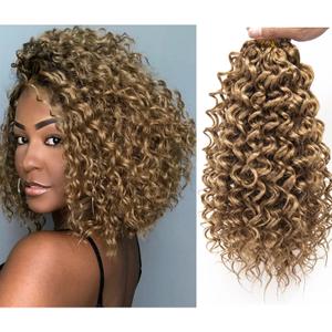 GoGo Curl Crochet Hair for Women Water Wave Curly Crochet Hair Wavy Hair Deep Wave Beach Curl Crochet Synthetic Hair Extensions (12 inch(Pack of 6), #27)