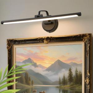 Hardwired Picture Light for Wall, 24 Inch Modern Black Dimmable Frame Light with Adjustable Swing Arm, 3CCT LED Art Display Light for Paintings,120 Volts Gallery Wall Light, Hallway Vanity Light, 8W