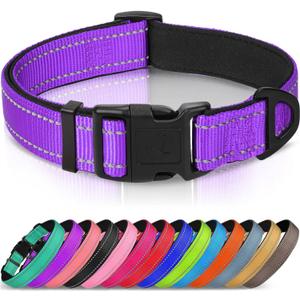 Joytale Reflective Dog Collar, Soft Neoprene Padded, Metal D-Ring, Nylon Pet Collar Adjustable for Extra Large Dogs, Purple, XL