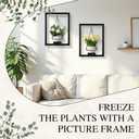 2 Pack Picture Frame Wall Plant Holder Wall Planters for Indoor Plants Metal Window Hanging Shelves Black Pot Holder Ring for Living Room Bedroom Bathroom Home Decor