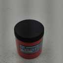 Jacquard Textile Paint 8 Oz Scarlet (8 Fl Oz (Pack of 1)