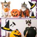 12 Pcs Mini Felt Witch Hats Mini Plush Toy Small Animal Handmade Wine Bottle Decor for Halloween Party Favors DIY Hair Accessories Crafts