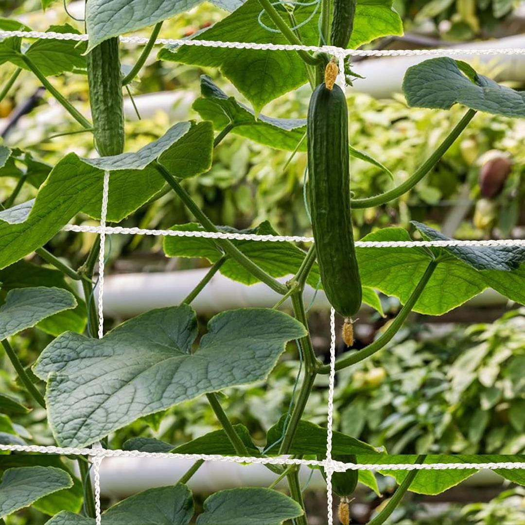 Mellbree Trellis Netting for Climbing Plants, 32.8x6.6FT 2Packs Heavy Duty Trellis Net for Climbing Plants Outdoor, Cucumber, Tomatoes, Peas, Vegetable and Vine