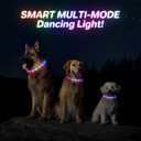 RUXAN Light Up Dog Collar,Dog Lights for Night Walking,LED Collars Waterproof,Glow Dog Collars Rechargeable,Glow in The Dark Dog Collar,Dog Collars Light for Small,Medium,Large Dogs (Small,Pink)