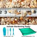 18 Pounds Coarse Silica Sand Succulent and Cactus Bonsai Stones Soil Cover Gravel for Indoor Outdoor Plants Natural Decorative Rocks for Fairy Gardening, Vase Fillers, Aquariums, Carnivorous Plant Mix