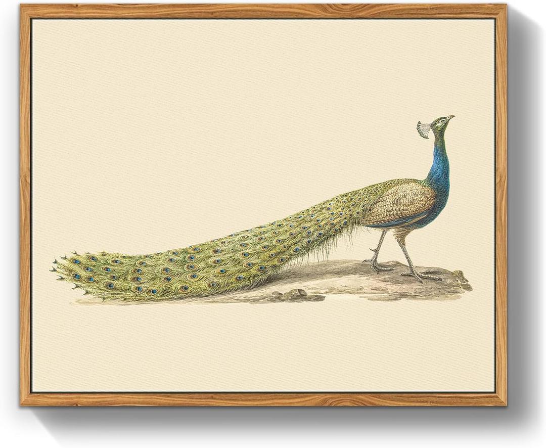 crmotu Peacock Framed Wall Art, Still Life Canvas Painting, Animal Bird Vintage Art Prints, Retro Neutral Pictures Wall Decor Living Room Bedroom, Rustic Farmhouse Bathroom Decor, 12x16 inch (16L" x 12W")
