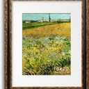 16x20 Picture Frame, Ornate Embossing Frame with Paper Mat and Plexiglass, Fit for 16x20 without Mat or 11x14 with Mat, Wall Mounting Display for Art Prints, Bronze and Antique Gold, 1 Pack