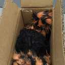 Entehaus 32'' Animatronics Crawler Spider Halloween Decorations - Sound Activated with Creepy Sound, Motion, Light Up Eyes, Haunted House Scary Decor Horror Prop for Indoor/ Outdoor, Yard Lawn