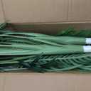 6ft Tall Triple Golden Cane Palm Artificial Tree Large Tropical Palm Tree UV Resistant Fake Plant in Pot for Indoor Outdoor Big House Living Room Outside Patio Office Home Decor 1Pack