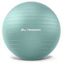 Trideer Exercise Ball Yoga Ball – Office Seating & Balance Ball Chair, Stability Ball for Pilates, Physical Therapy,Core Training & Balance Improvement & Stretching L