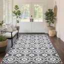 EcoNest 3x5 Ft Rugs, Washable Grey Rug for Living Room Low Pile Geometric Area Rugs Soft Moroccan Rug Print Pattern Non Slip for Indoor Kitchen Bathroom